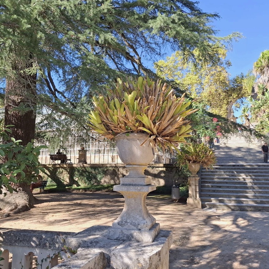 Украшение сада - каменная ваза с бромелиевым