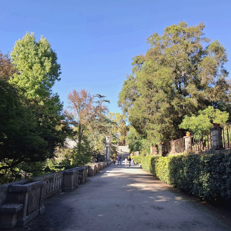 Одна из террас сада