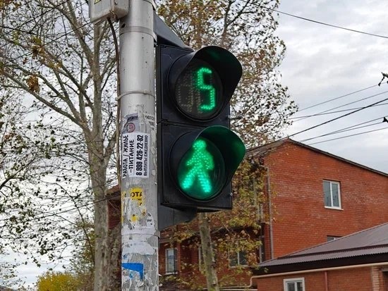    Фото: Юрий Серебренников/BFM Кубань