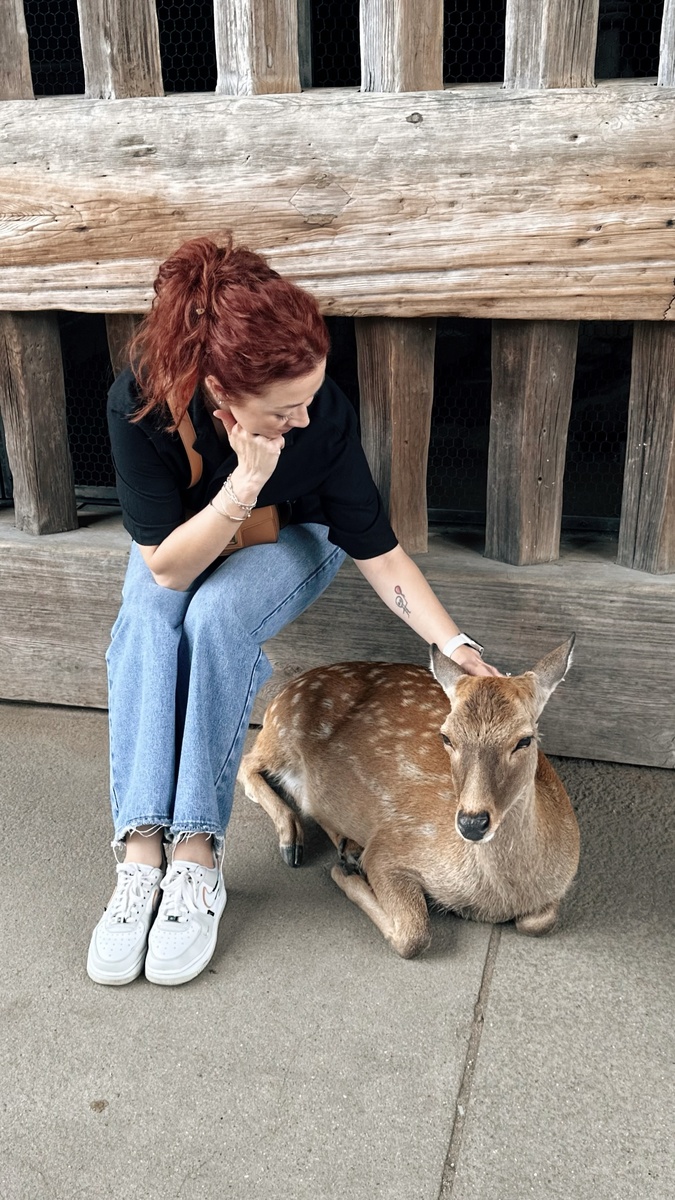 Олени Нара 🇯🇵 Милые, но печеньку им в рот не клади, прожуют и печеньку и джинсы с футболками 🙃