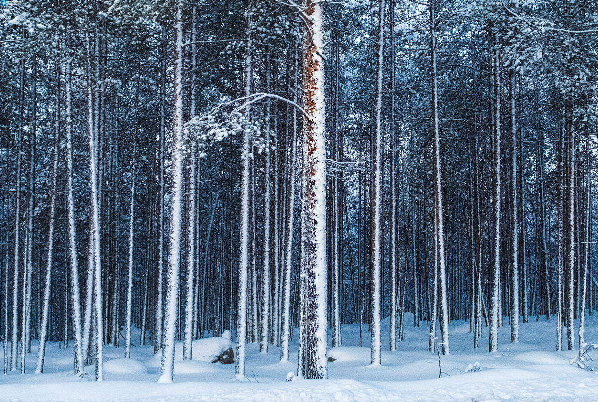 Штрихкод России 📍Мурманск ТГ-Святая Руфь📸