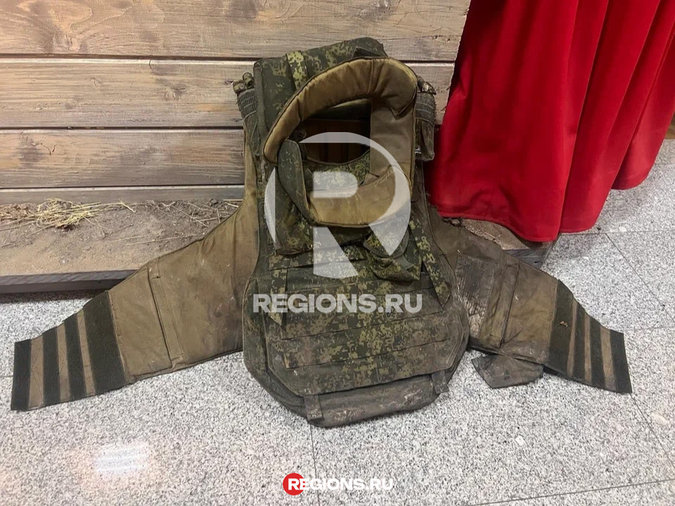     Фото: REGIONS/Владимир Острогожский