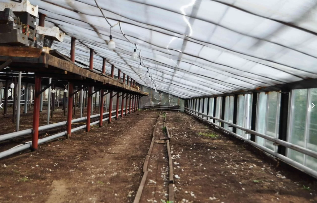    Фото: Авито Иван Фистин