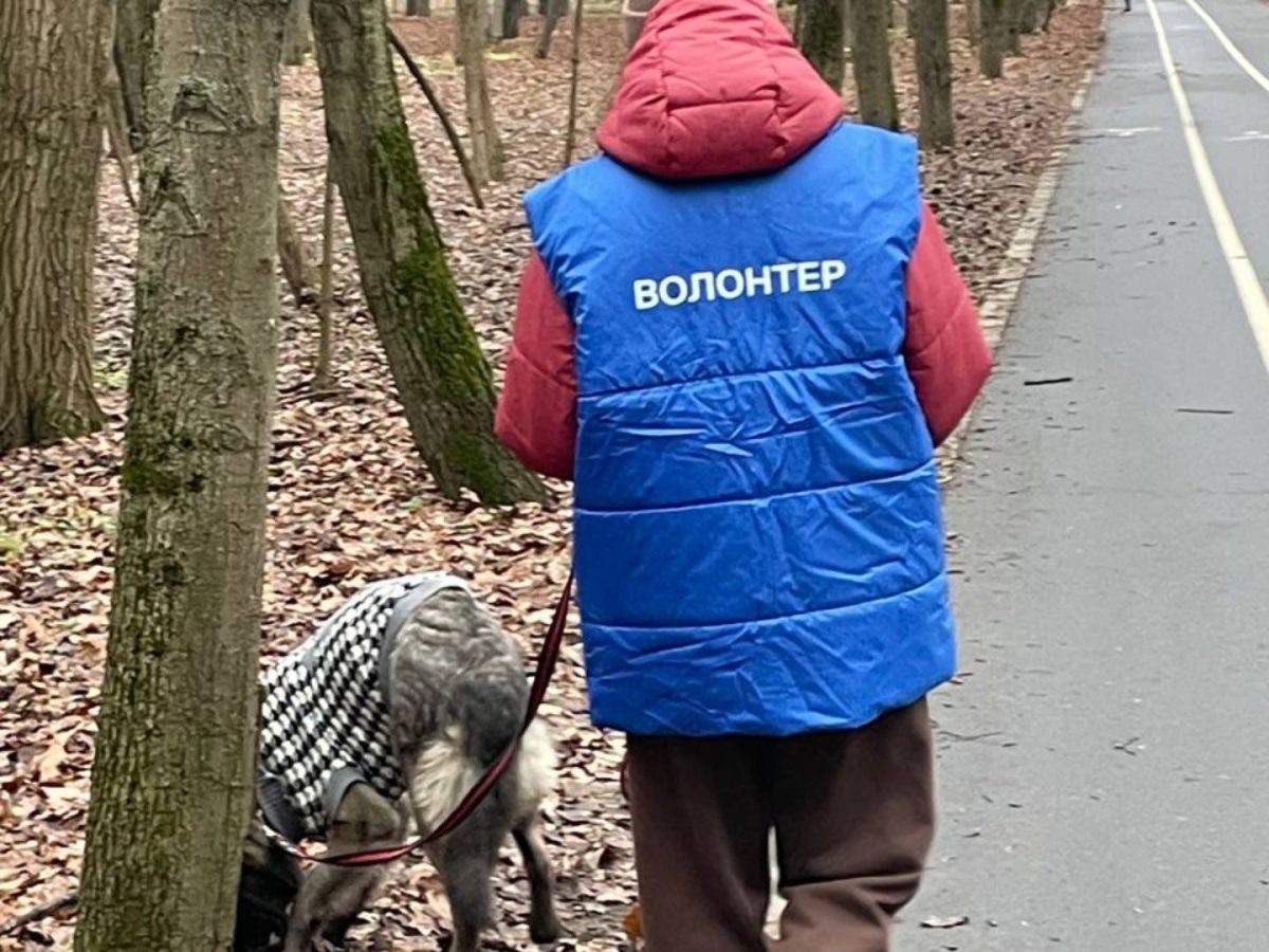    Сотрудники ОМК провели время с животными, чтобы им проще было адаптироваться к людям