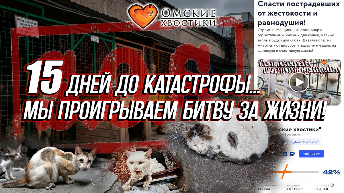 Смертельные вирусы, которые косят животных одного за другим...