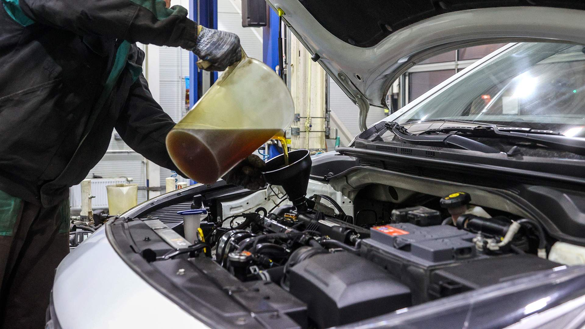 Фото: Global Look Press/Bulkin Sergey