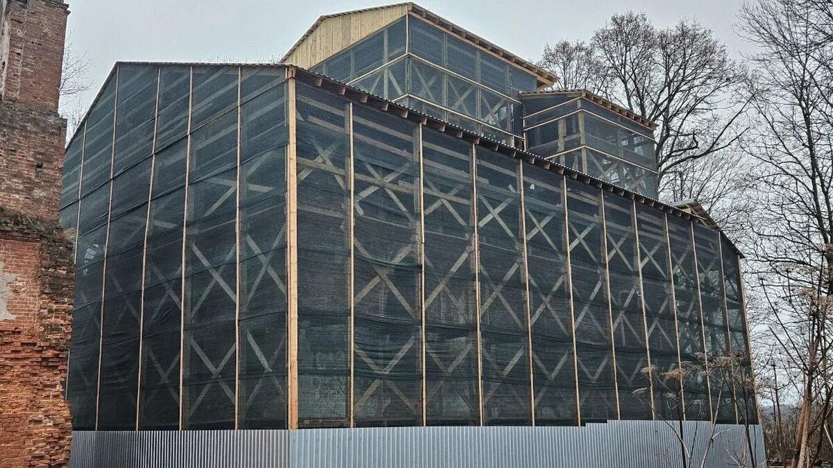    Фото: t.me/lenobladminka