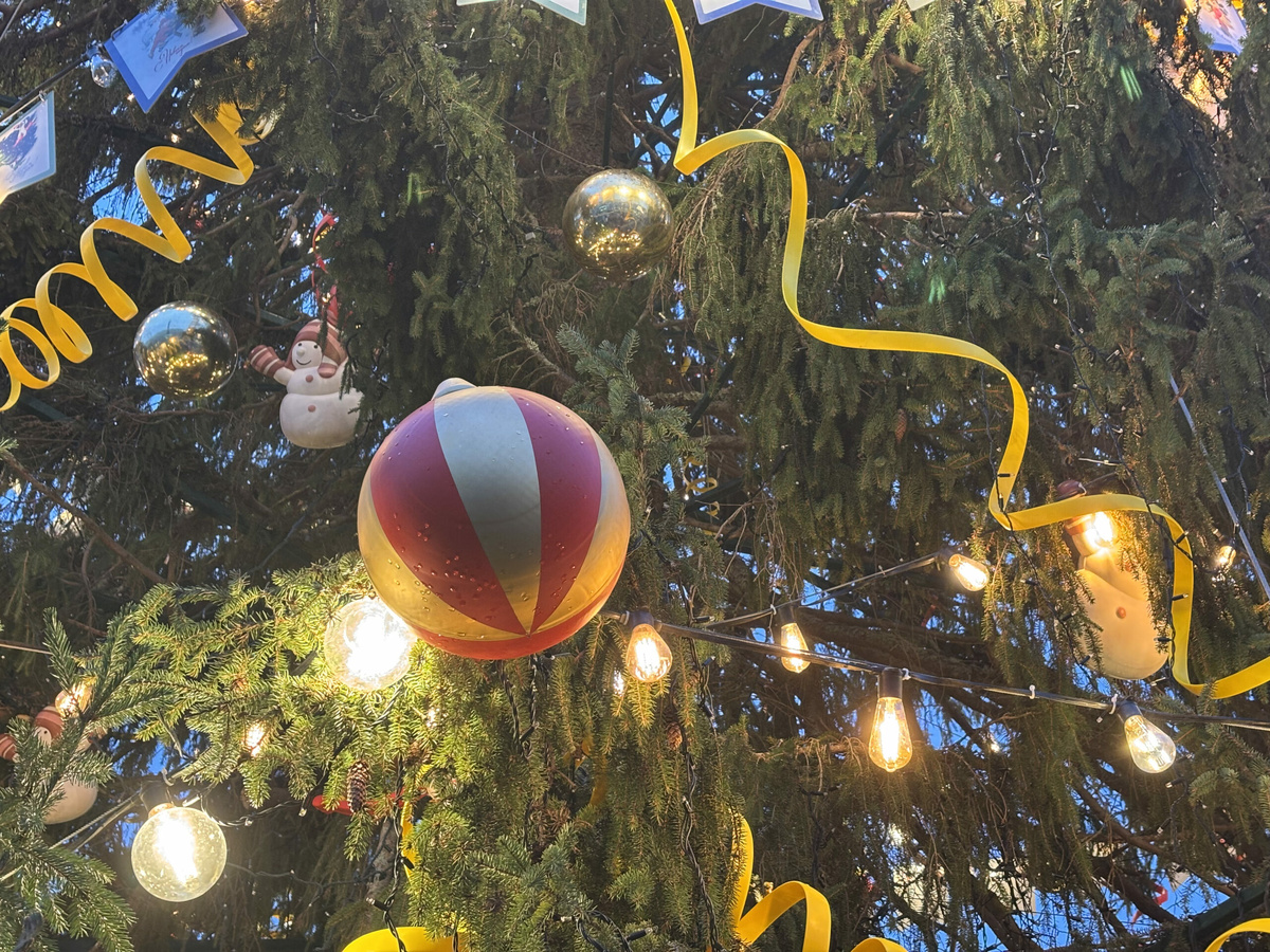 Фото: Neva.Today