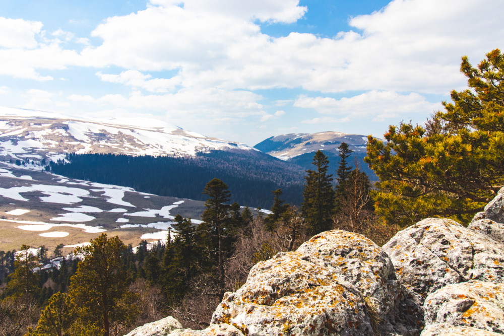 @Dima Polies/Shutterstock