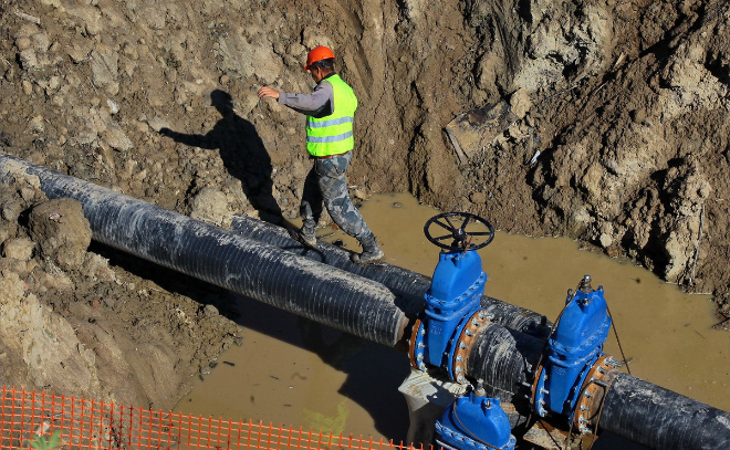    © Анастасия Илюшина / ЛенТВ24. Архивное фото