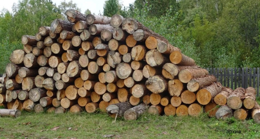    Фото: Прокуратура Иркутской области