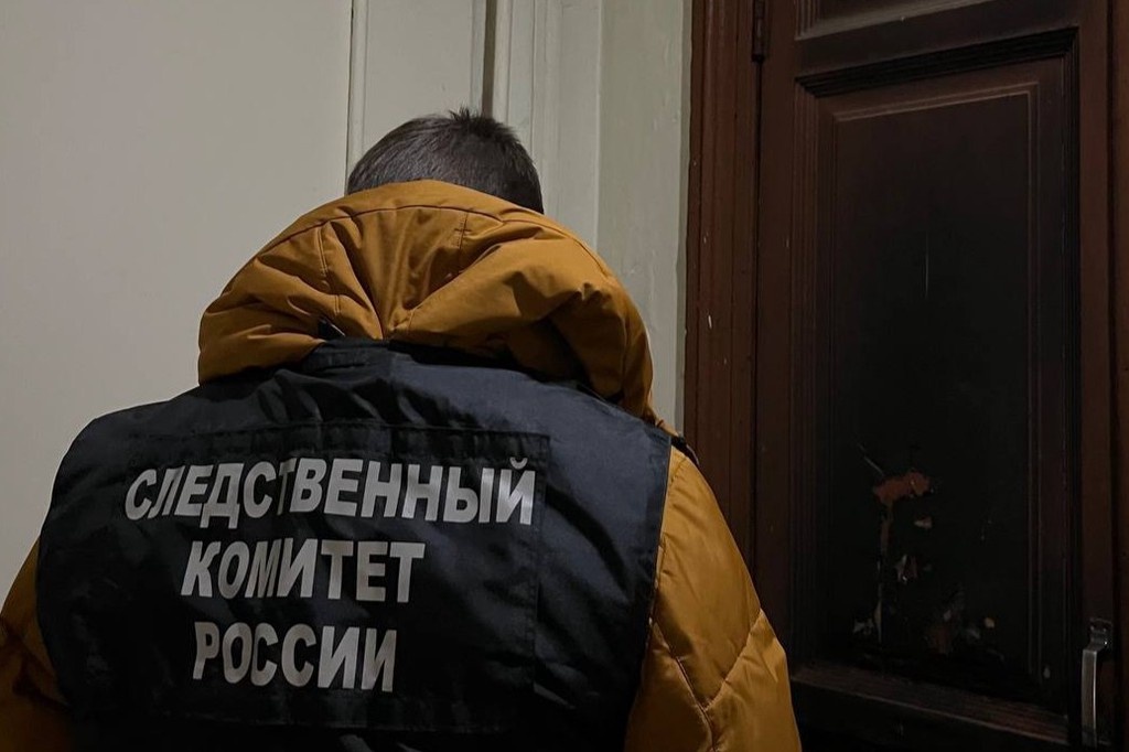    Фото © Telegram / Питерский Следком