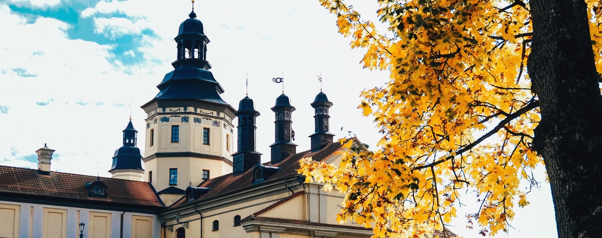 @Jamie Polivka/Unsplash