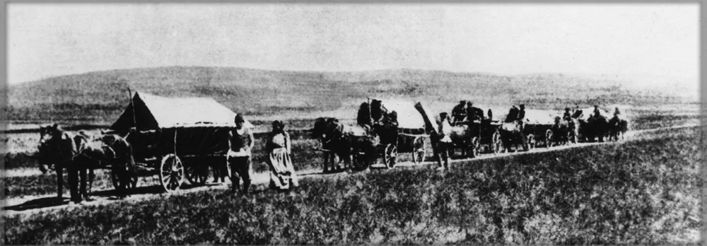 фото из инета