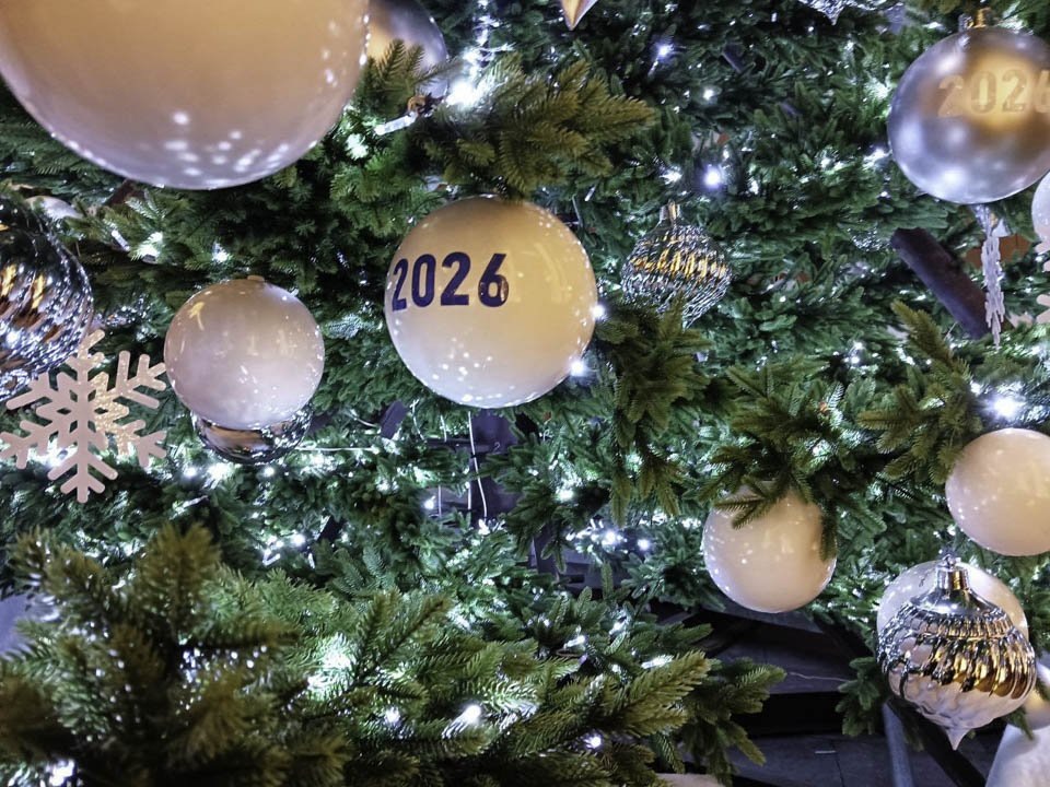    Фото: REGIONS/Наталья Пичугина