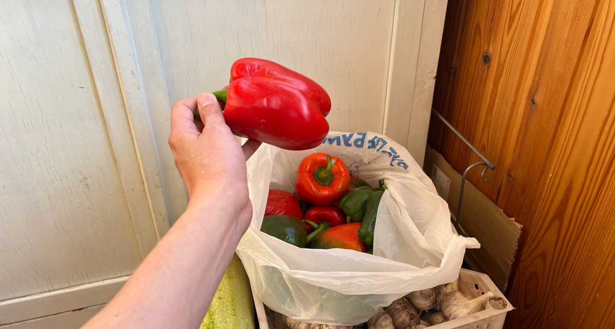    Фото: ПроГород