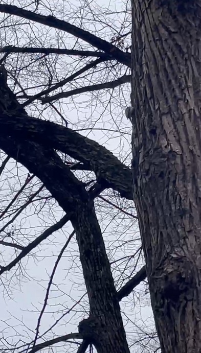 Рига, 14 декабря 2025