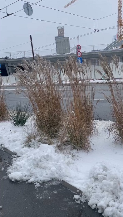 Рига, 14 декабря 2025