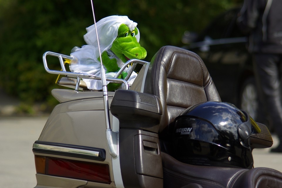    Иногда от невесты могут остаться одни воспоминания. Андрей ГРЕБНЕВ