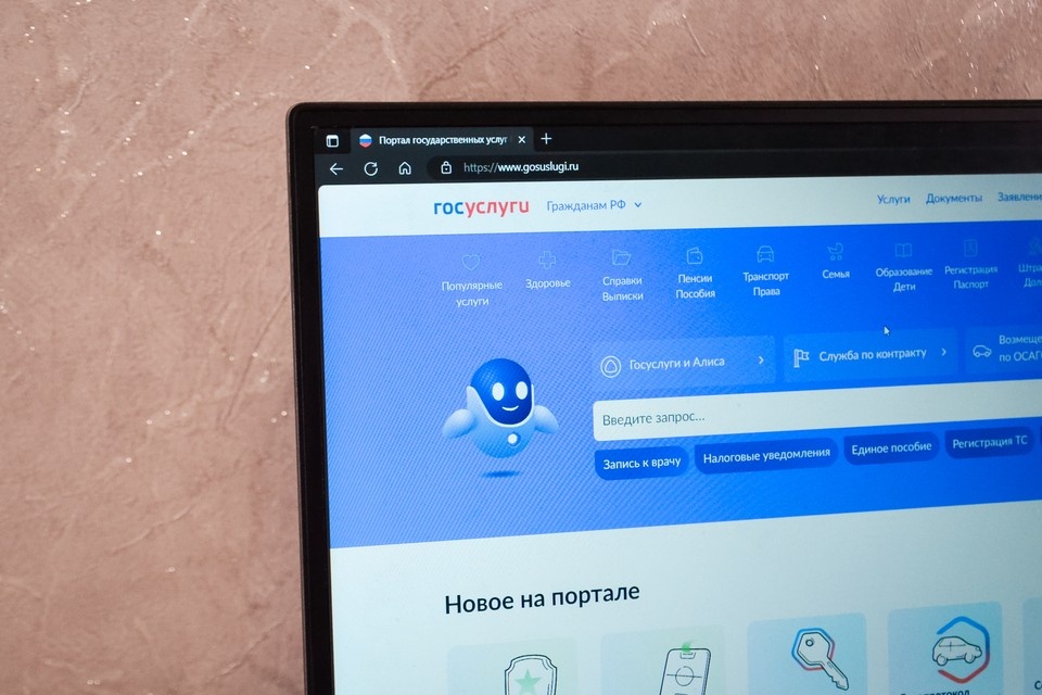    Новые рубрики появились на портале. Фото: Опарин Даниил