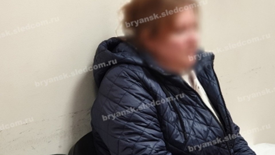 Жительницу Брянска осудили за финансирование нежелательной иностранной организации