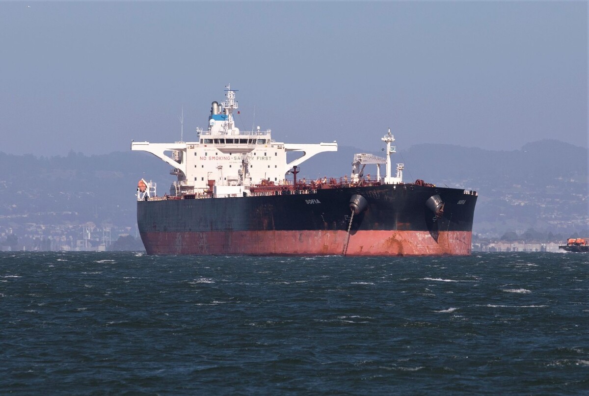     / Источник: © Global Look Press