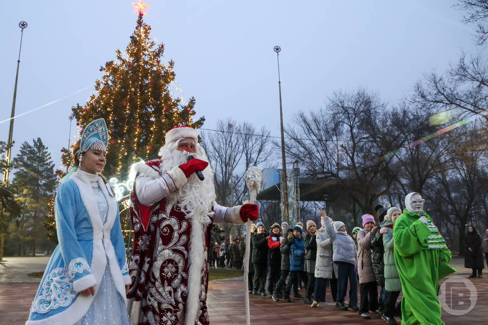    Фото: Дмитрий Рогулин / "Городские вести"