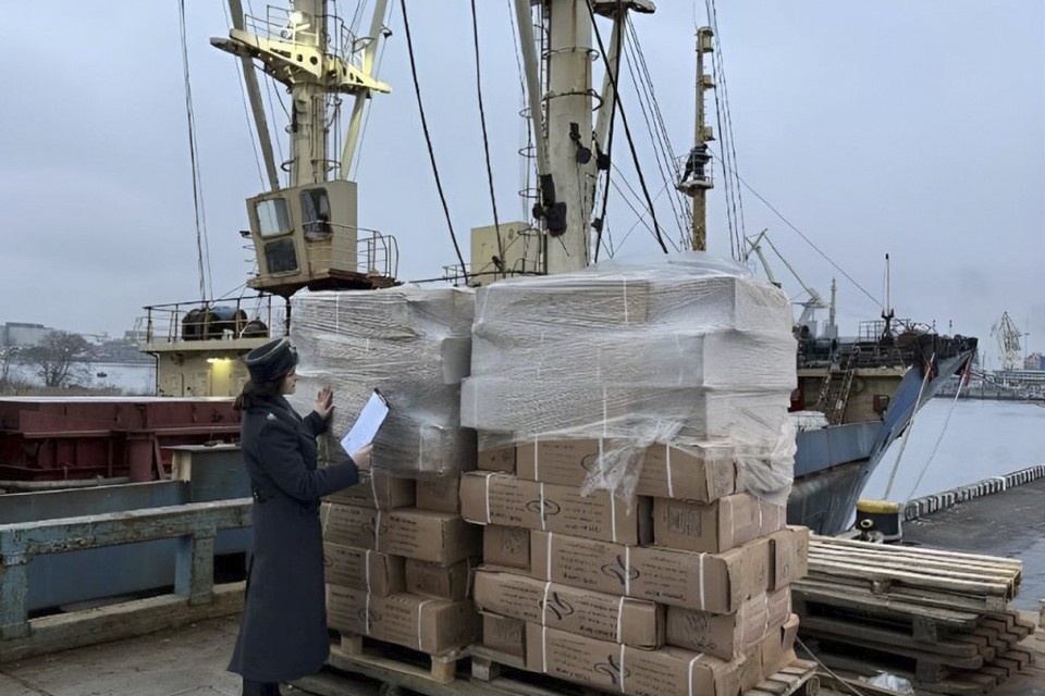    Из Петербурга отправили два корабля с рыбой в Нигерию. Фото: Пресс-служба Северо-Западного межрегионального управления Россельхознадзора