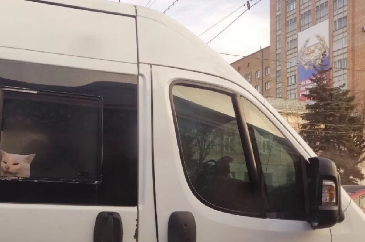    Настройка работы общественного транспорта пройдет в Рязани