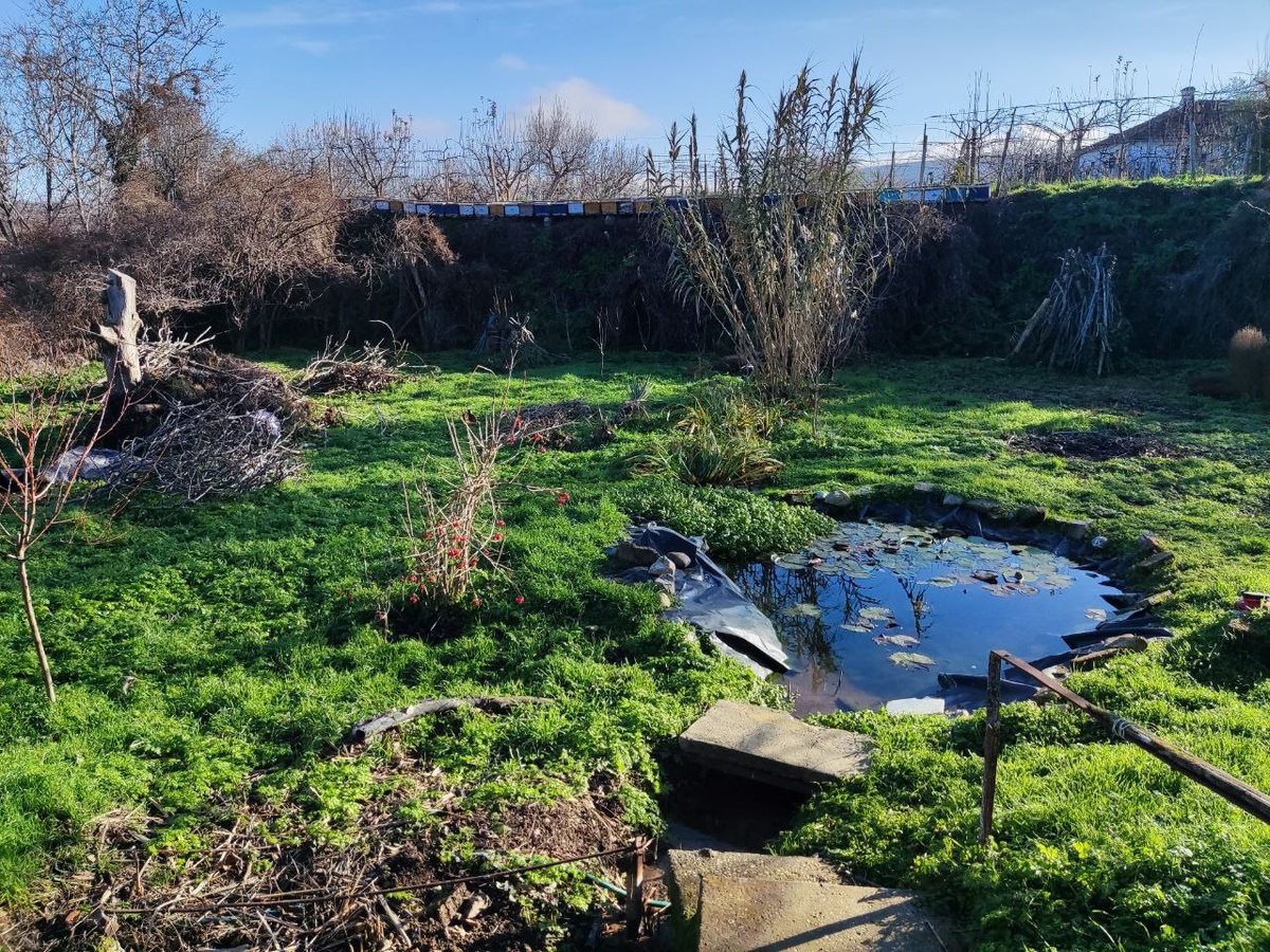 Вроде, неплохо