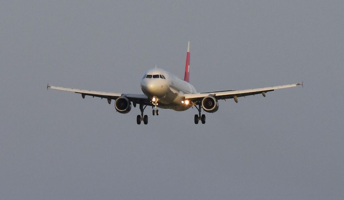     Самолет российской авиакомпании. Источник: © РИА Новости Автор фото: Максим Богодвид