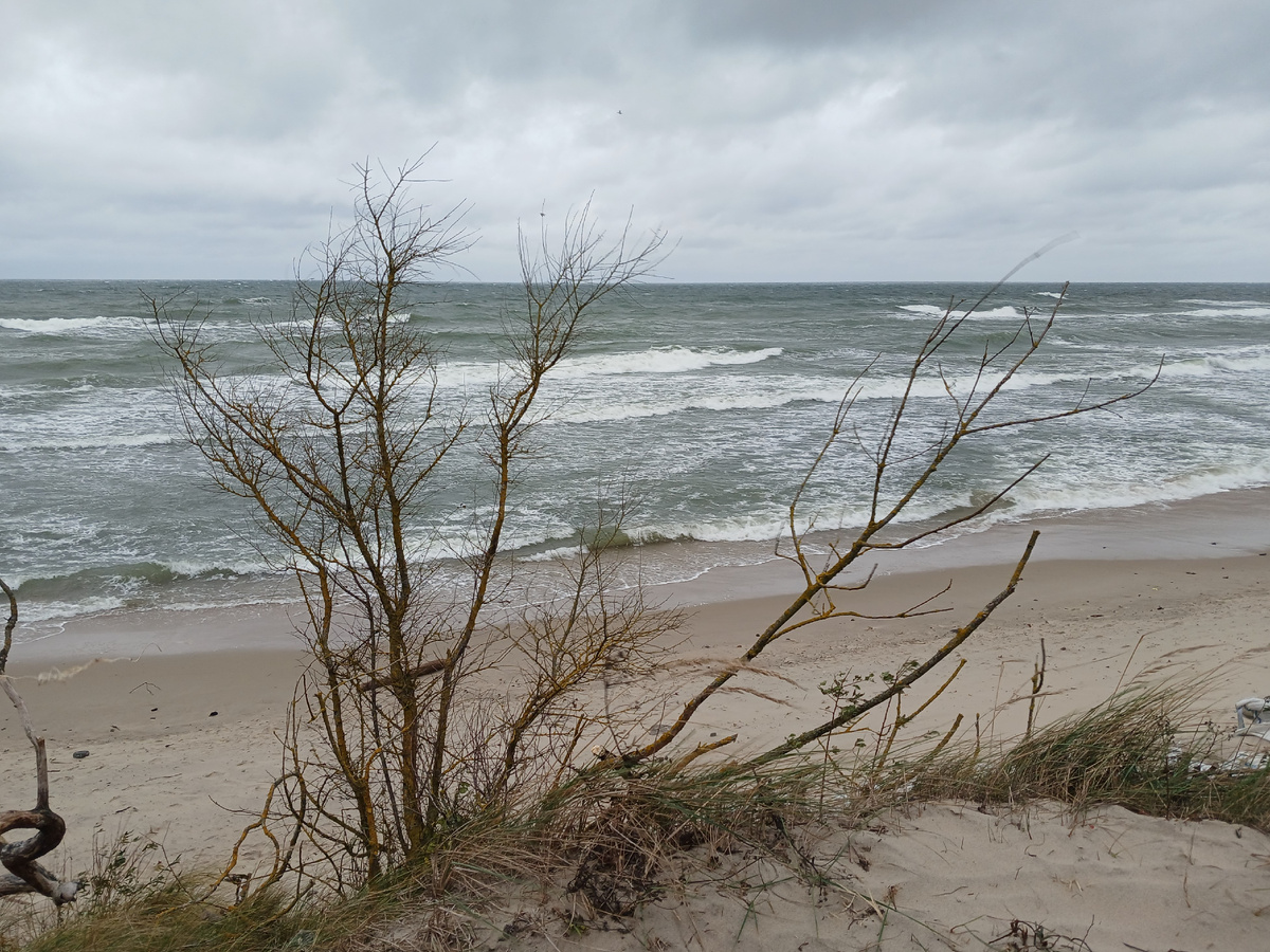 Балтийское море