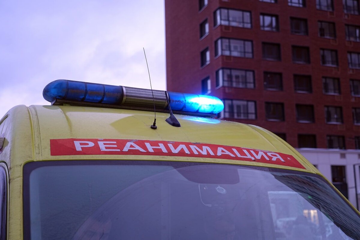     / Источник: © ИЗВЕСТИЯ/Павел Волков