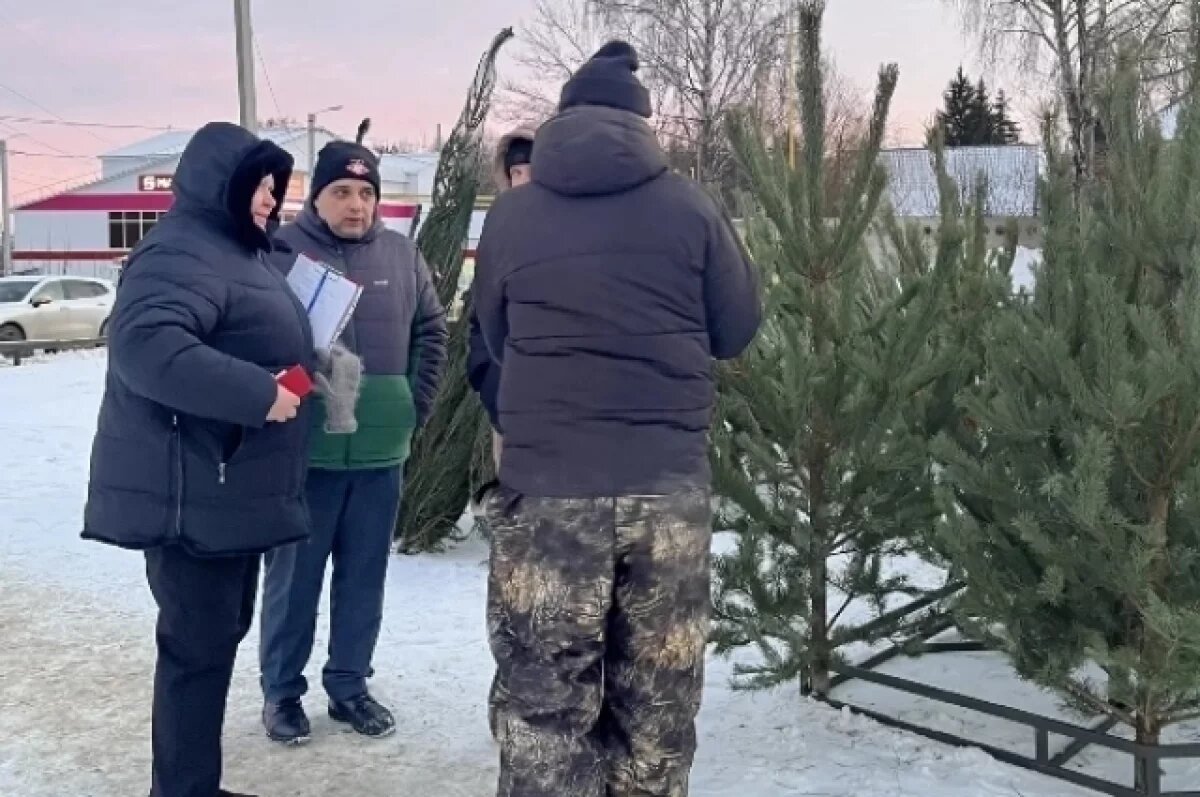    В Пензе на улице Тепличной шла нелегальная продажа елок