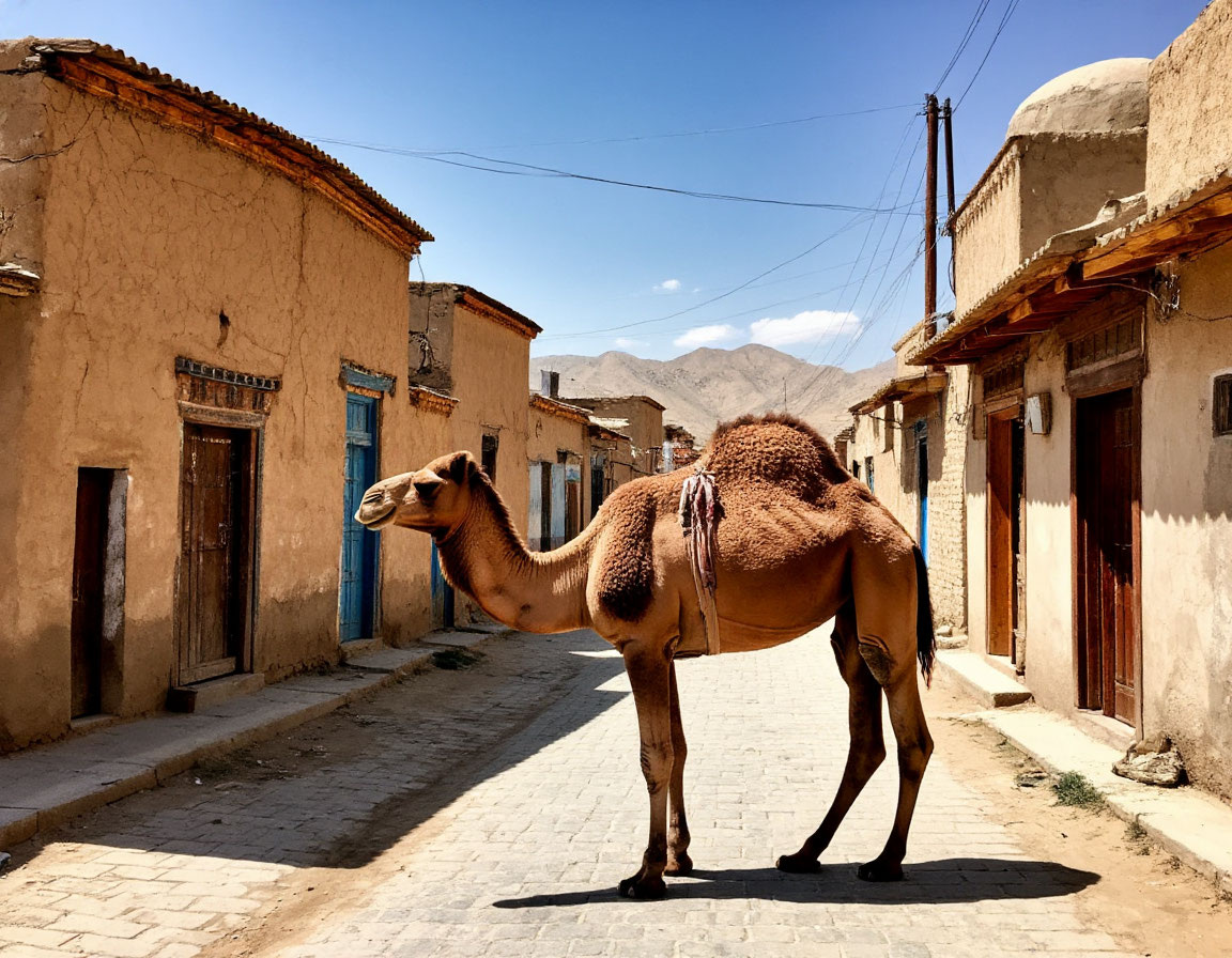 Авторский рисунок с использованием ИИ Шедеврум