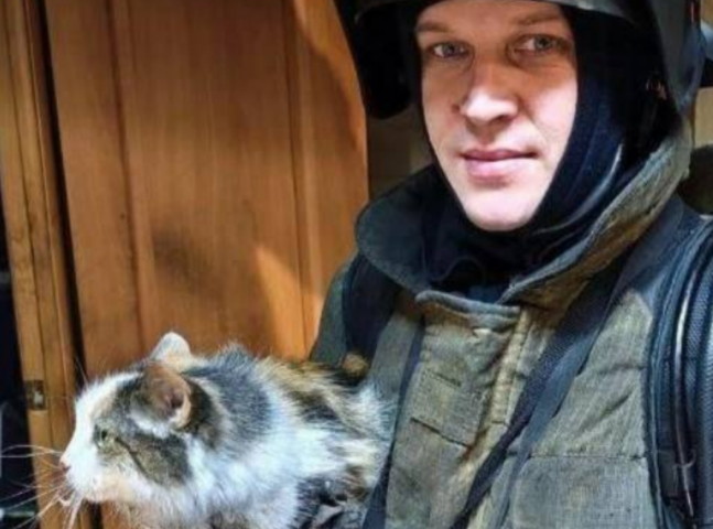 Фото: ИА «Ночные новости»