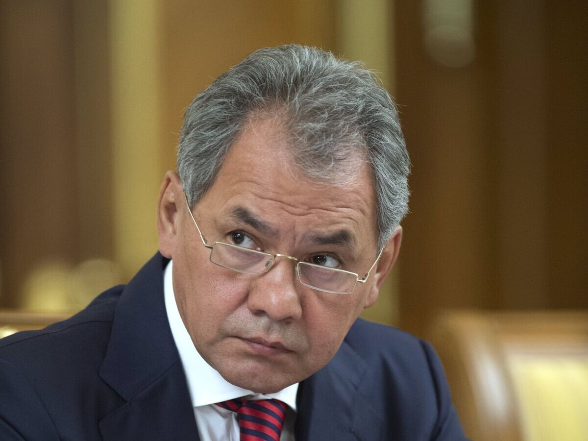    Министр обороны РФ Сергей Шойгу | © РИА Новости / Сергей Гунеев