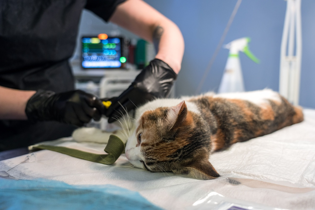 Фото: Александр Плонский / ВиЖ