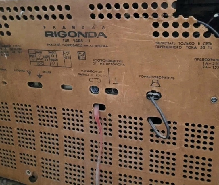 Ригонда - вид сзади