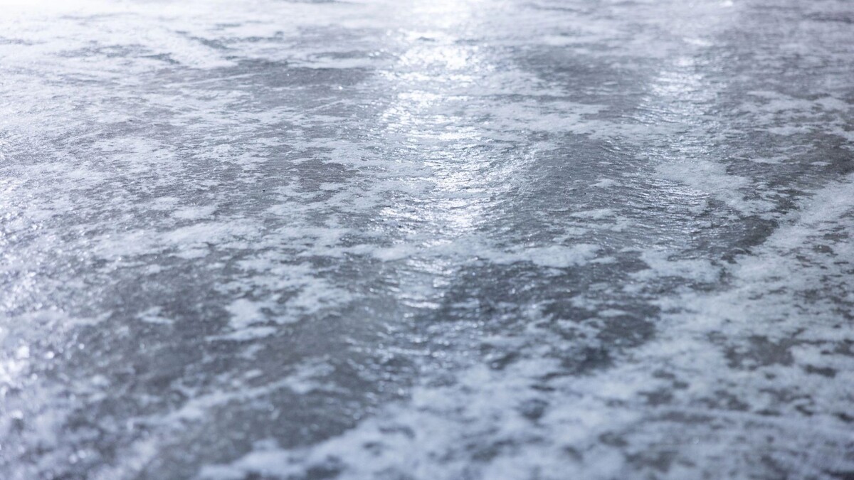    Фото: Федор Воронов/«Ямал-Медиа»