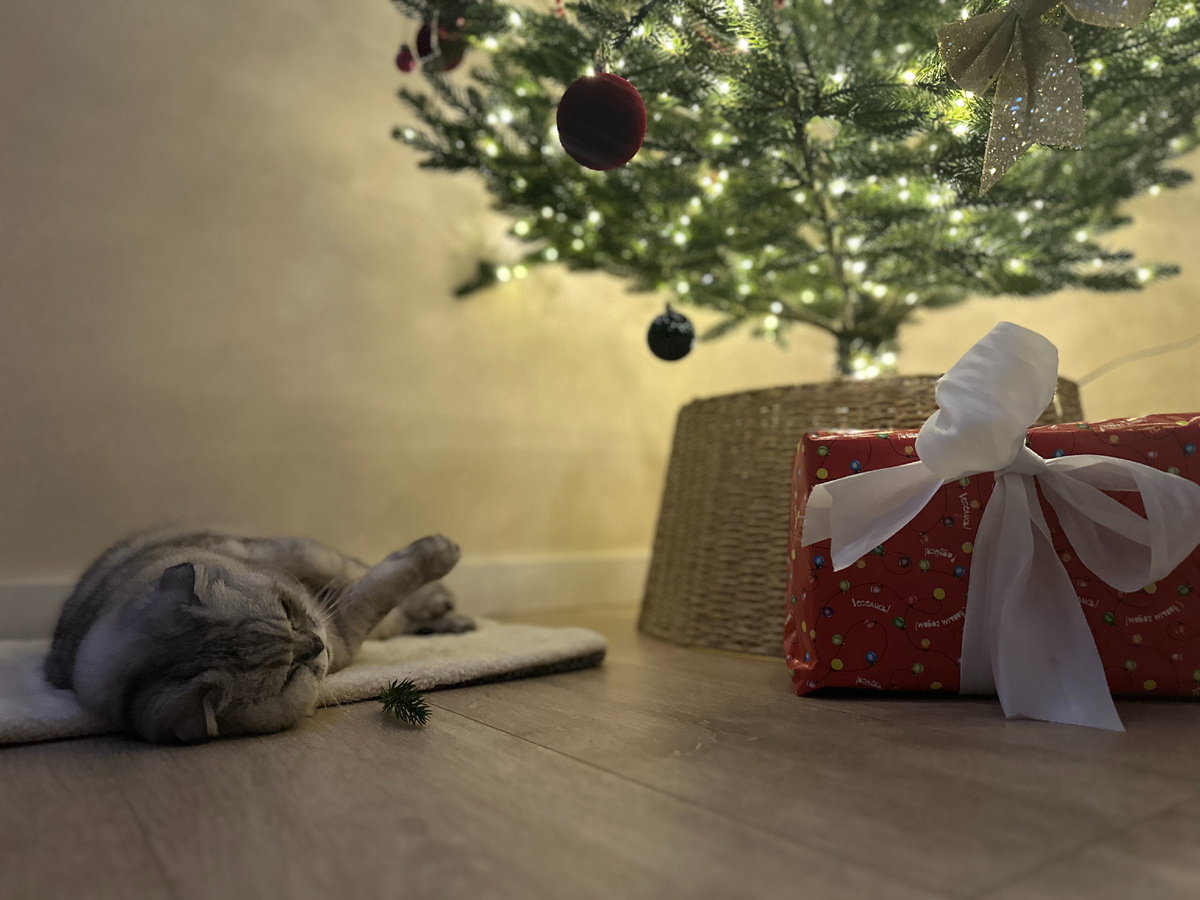 Вот у кого жизнь удалась! И пижамки с косметикой не нужны! Красив сам по себе 