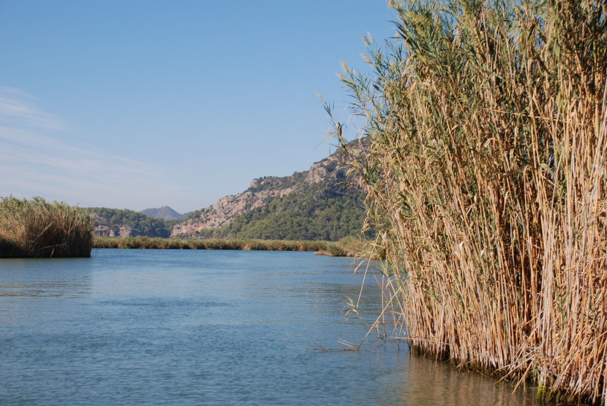 Рукава реки Дальян петляют среди высоких зарослей, так что порой чувствуешь себя будто в приключенческом фильме
