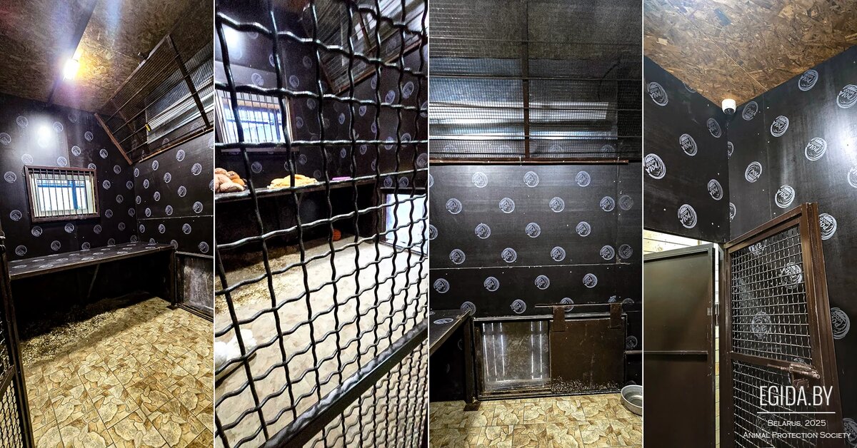 Так выглядит внутри теплый домике Шерхана