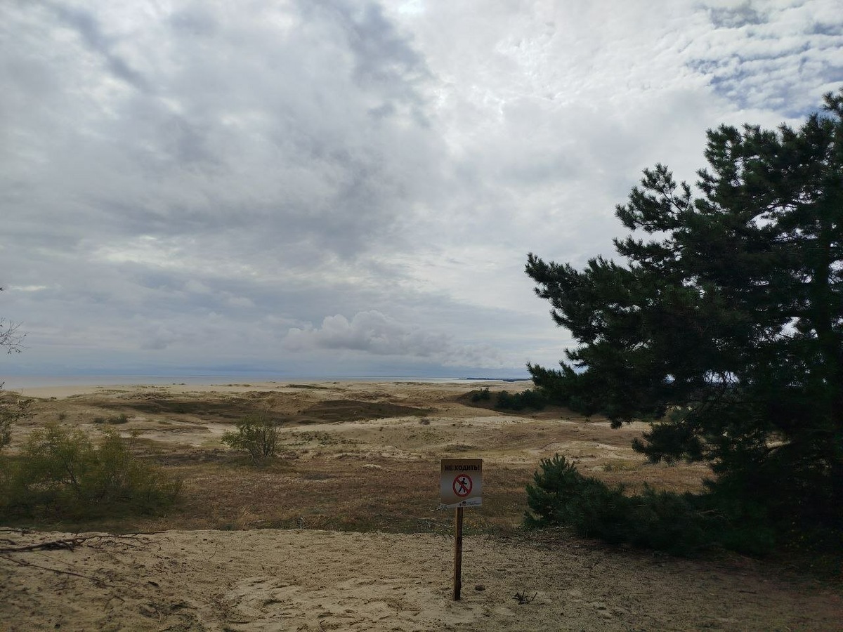 Из поездки на Куршскую косу, сыроварню и в Зеленоградск получится насыщенный отпускной день