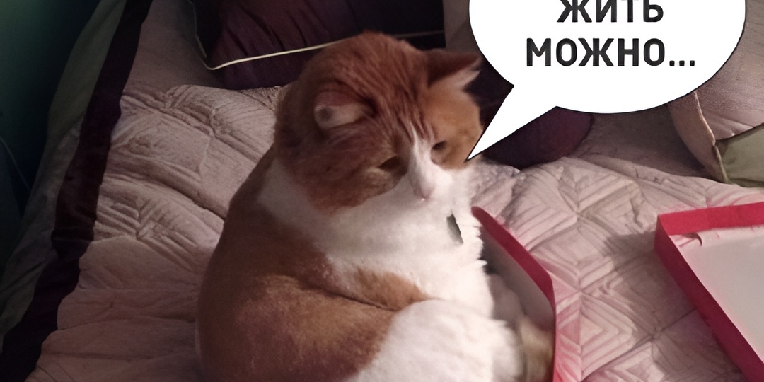 15 смешных картинок с надписями для поднятия настроения. Лайфхаки, как гулять зимой