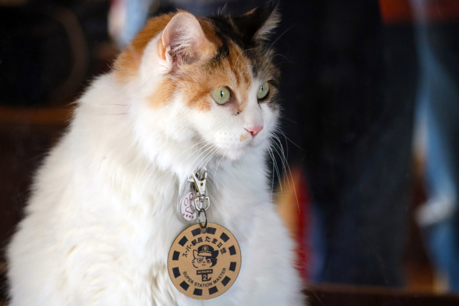    Shutterstock/FOTODOM