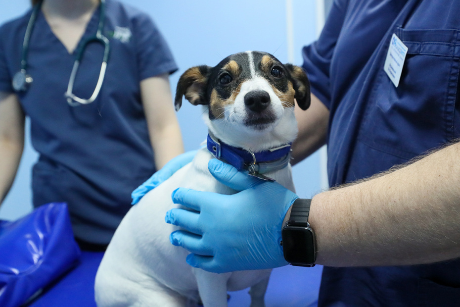    Сергей Петров/NEWS.ru