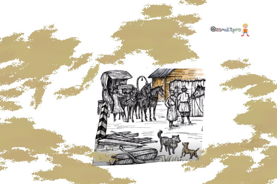 Обучающие истории от @asmultpro