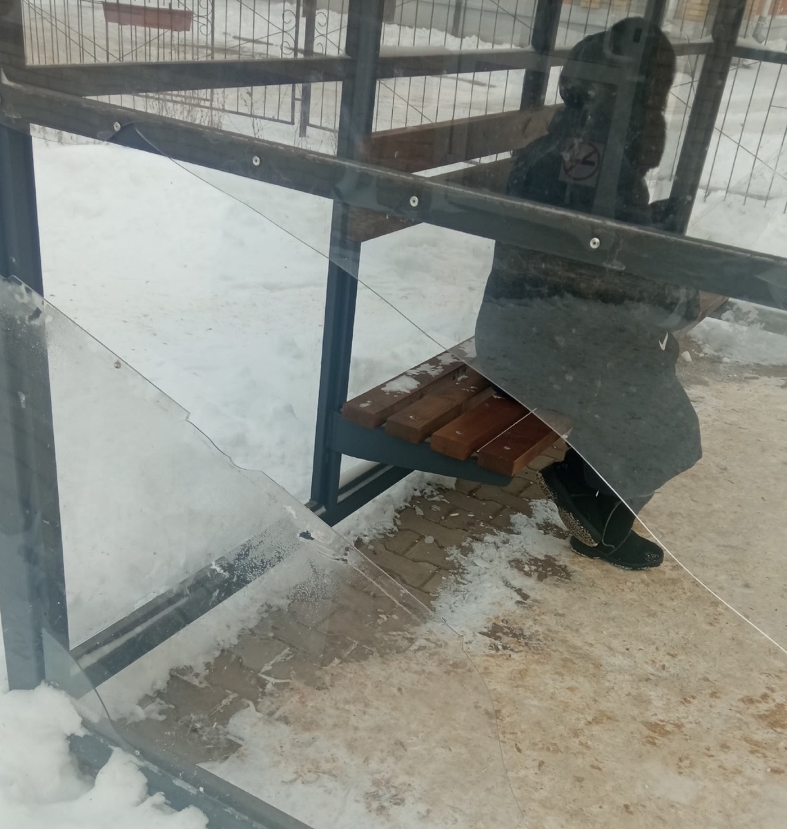 Фото администрации Йошкар-Олы