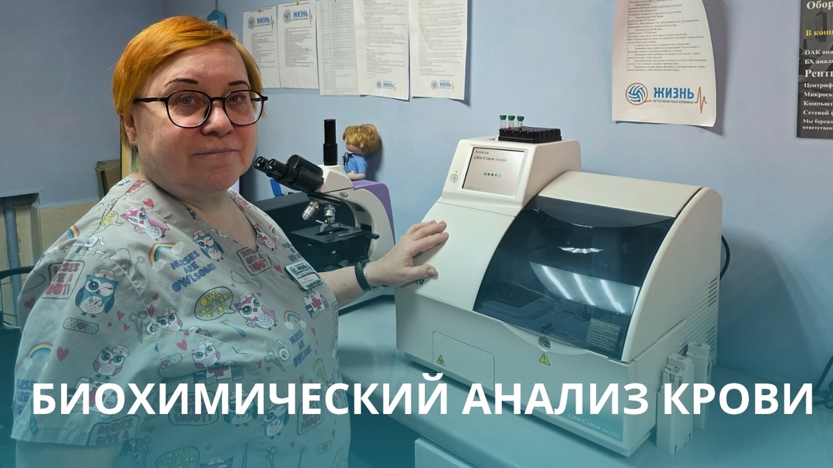 Биохимия животным в Калуге экспресс анализ крови.